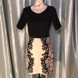 Lauren Conrad Blush Pink and Black Fitted Dress